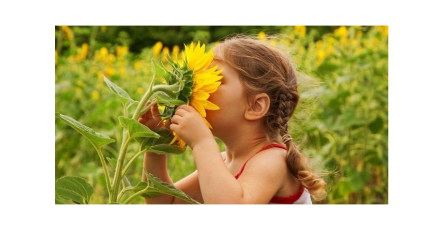 ¡Qué bien huele! ¿Quieres una máquina de aromas?