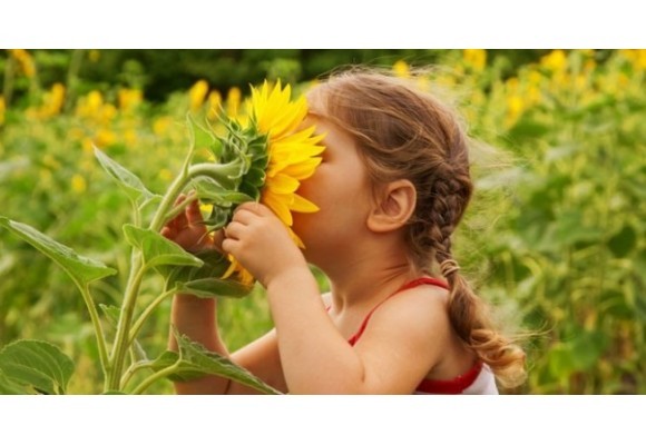 ¡Qué bien huele! ¿Quieres una máquina de aromas?